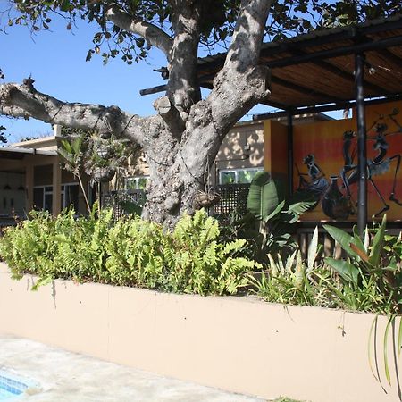 Planet Scuba Bed And Breakfast Ponta do Ouro Buitenkant foto